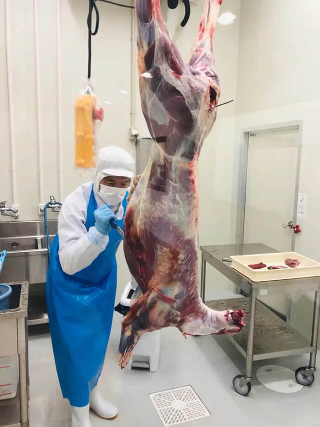 猪肉の加工作業場